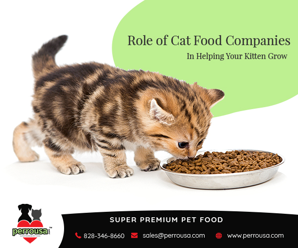 Role of Cat Food Companies in Helping Your Kitten to Grow